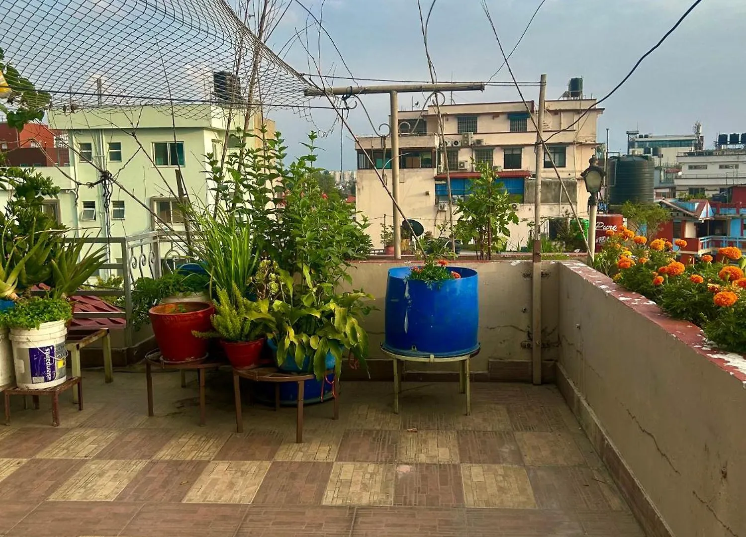Maharajgunj Warm Homestay Catmandu Nepal